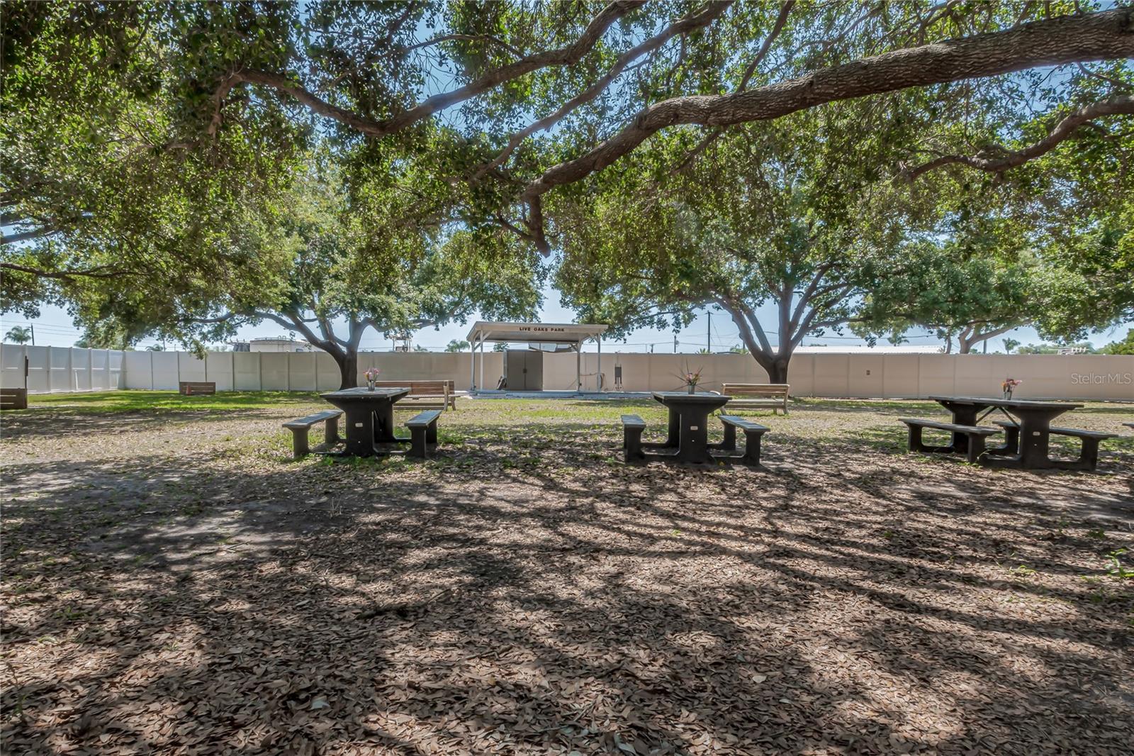 TERRA SIESTA MOBILE HOME PARK CO-OP - Residential