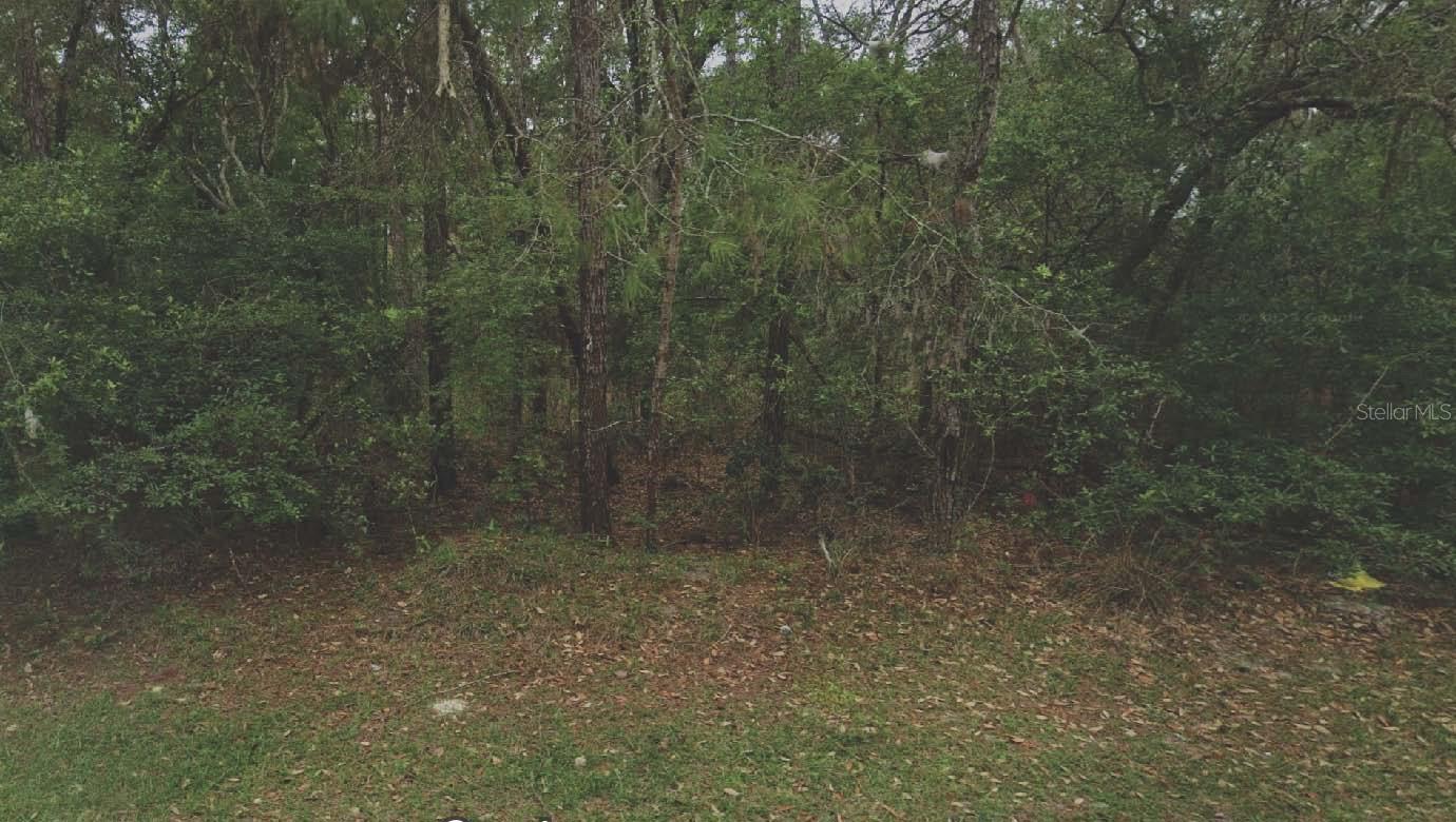 ST JOHNS RIVERSIDE ESTATES - Land