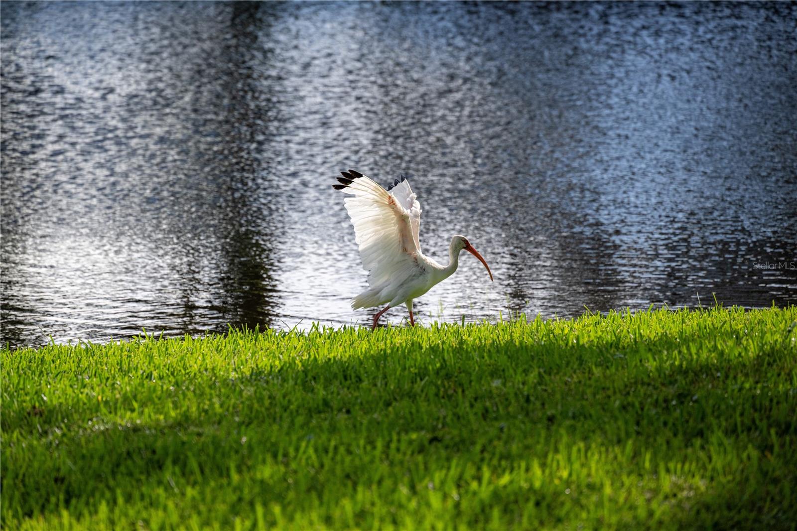 HERITAGE OAKS VERANDA 4 - Residential