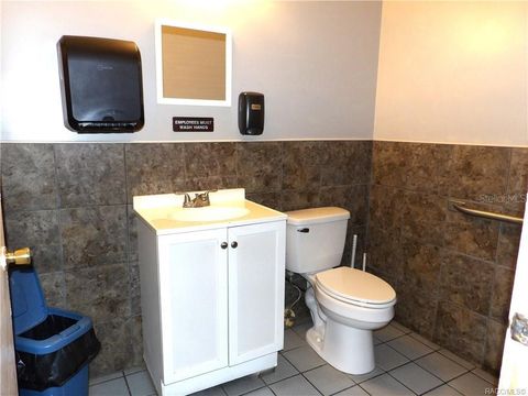 Tiny photo for 3360 E Gulf To Lake Highway, Inverness, FL 34453 (MLS # OM725215)