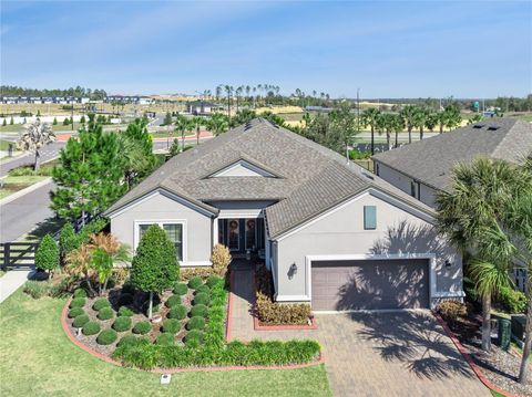 Photo of 1273 Zeek Ridge Street, Clermont, FL 34715 (MLS # O6384537)