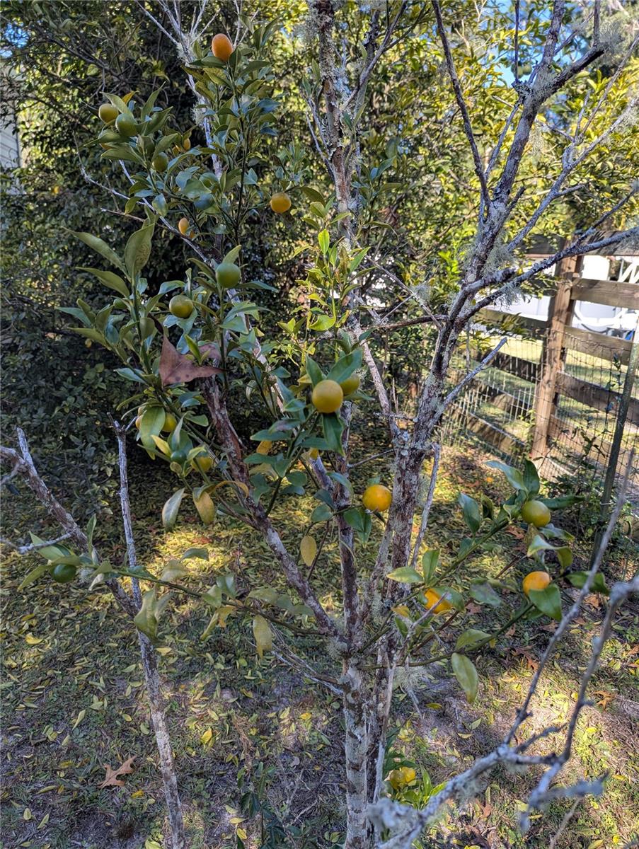 SUWANNEE GARDENS - Residential