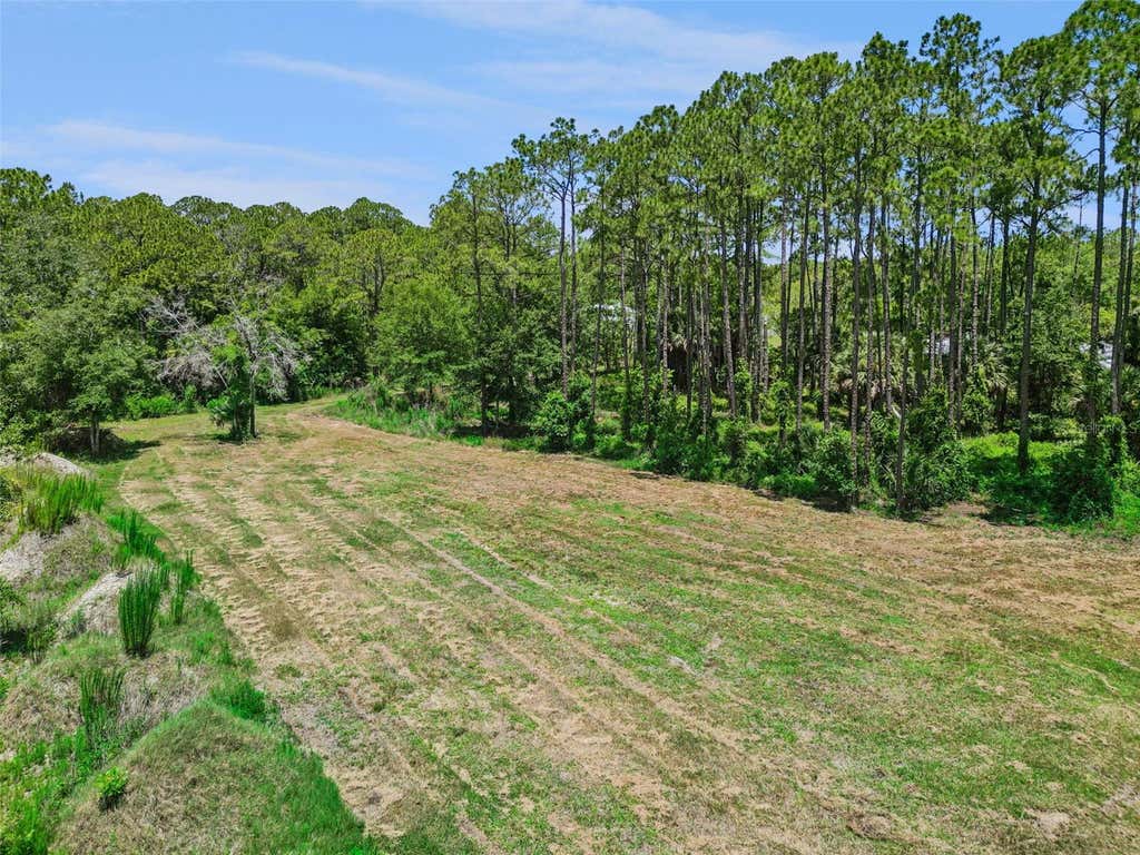 Photo of 4115 Golden Shores Boulevard, Mims, FL 32754 (MLS # O6416385)