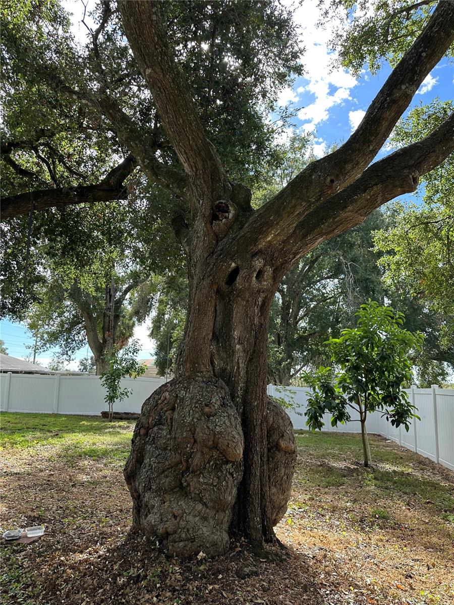 LAKE HAMILTON - Residential