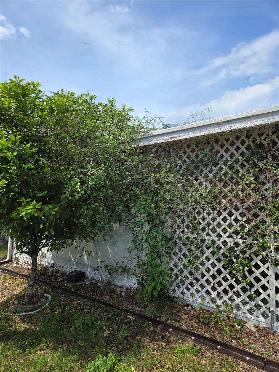 COUNTRY AIRE VILLAGE - Residential