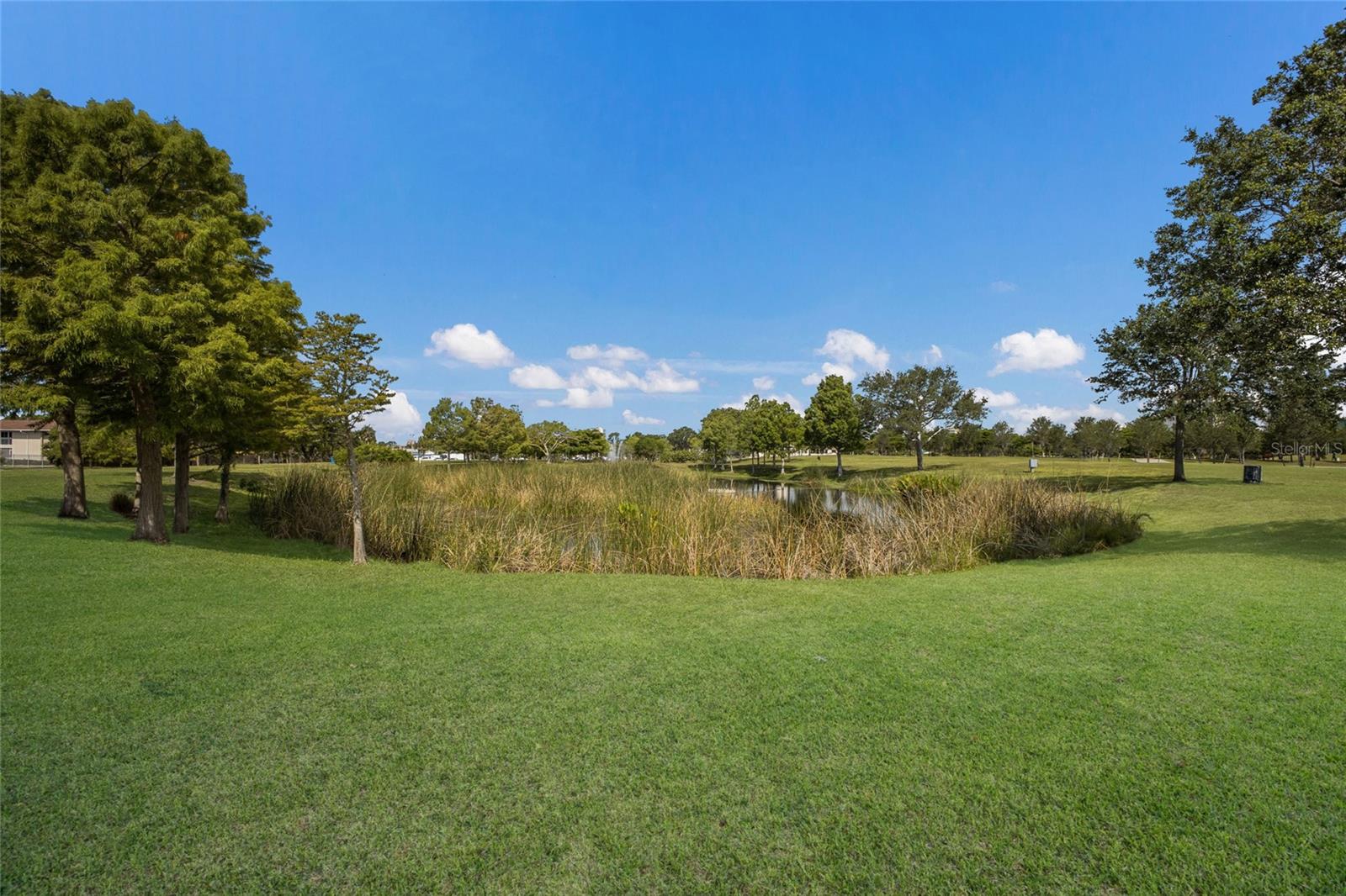 PAYNE PARK VILLAGE PH I - Residential