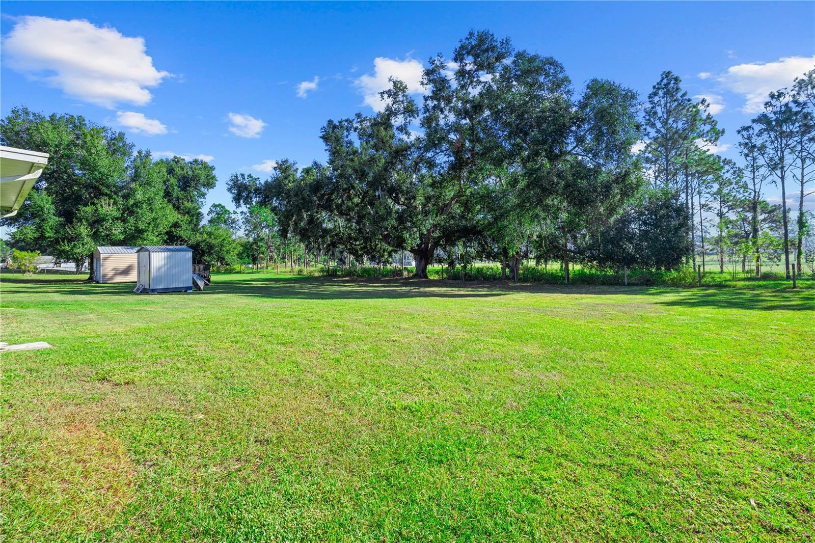 PINES SUB - Residential