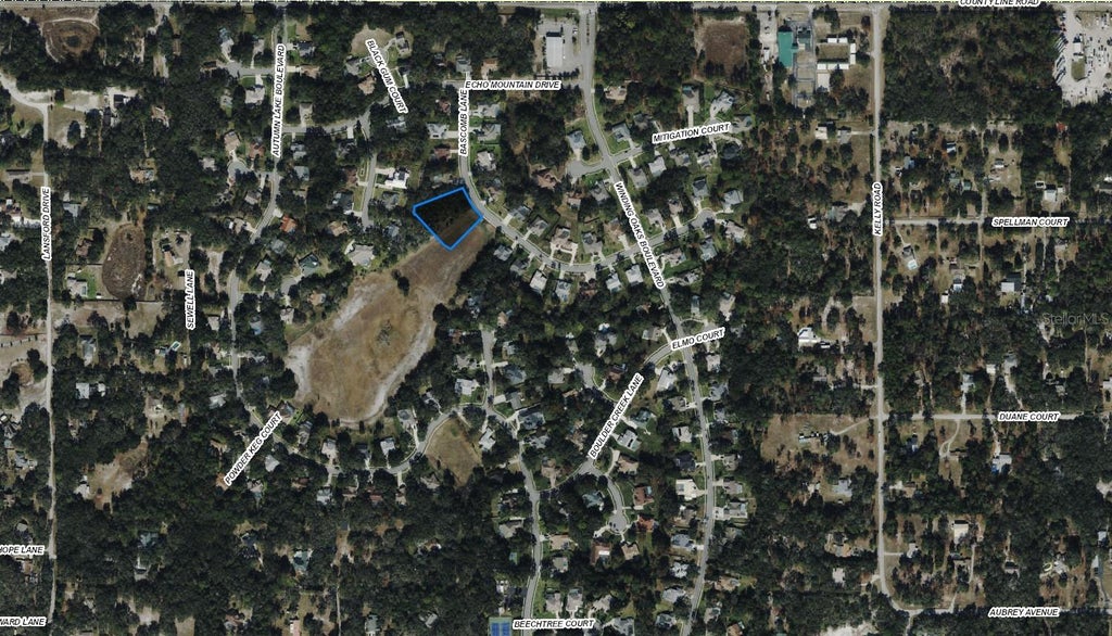 Photo of Bascomb Lane, Port Richey, FL 34667 (MLS # A4706430)