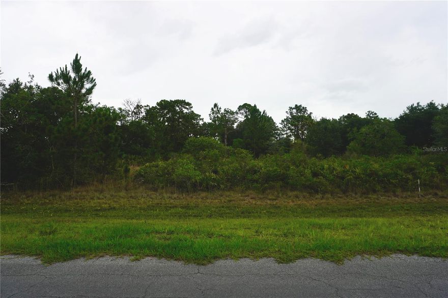 Discover the perfect opportunity to build your dream home on this impressive 1.22-acre homesite in the highly desirable Wedgefield Golf & Equestrian Community. Surrounded by beautiful custom homes, this oversized lot offers approximately one acre of high and dry, buildable land with the added benefit of a peaceful canal along the rear property line and no rear neighbors, creating exceptional privacy and a serene natural backdrop. The CAD has already been approved and a survey is available, saving valuable time in the building process. Enjoy the unique lifestyle Wedgefield offers with optional HOA, spacious homesites, golf, and equestrian amenities, all while being conveniently located just 20 minutes from Orlando International Airport and Lake Nona, 25 minutes from Waterford Lakes, and within easy reach of Downtown Orlando and Florida's beautiful east coast beaches. Large, buildable acreage lots with this level of privacy and convenience are becoming increasingly rare. Don't miss this incredible value.