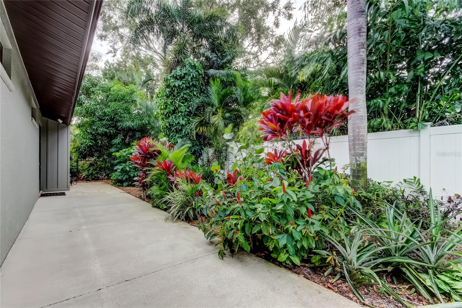 PINELLAS GROVES - Residential