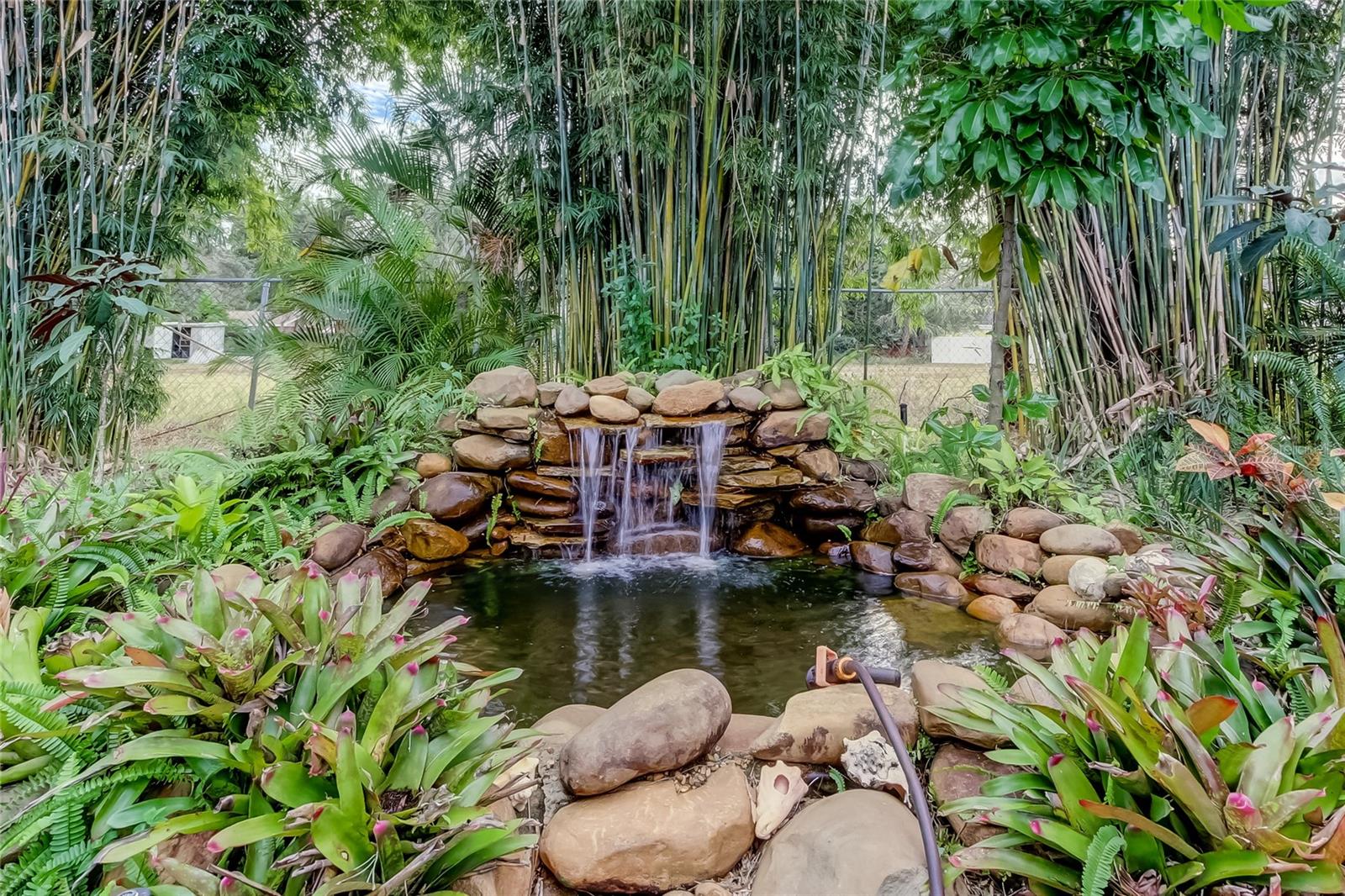 PINELLAS GROVES - Residential