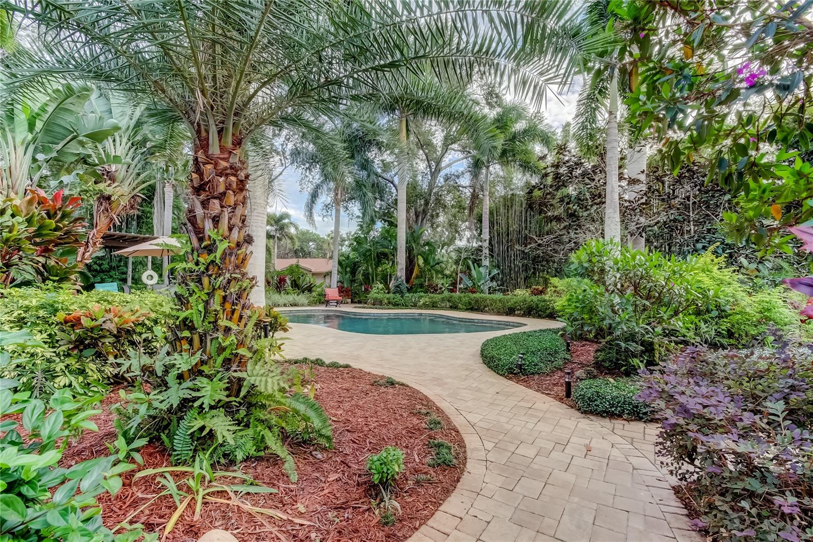 PINELLAS GROVES - Residential