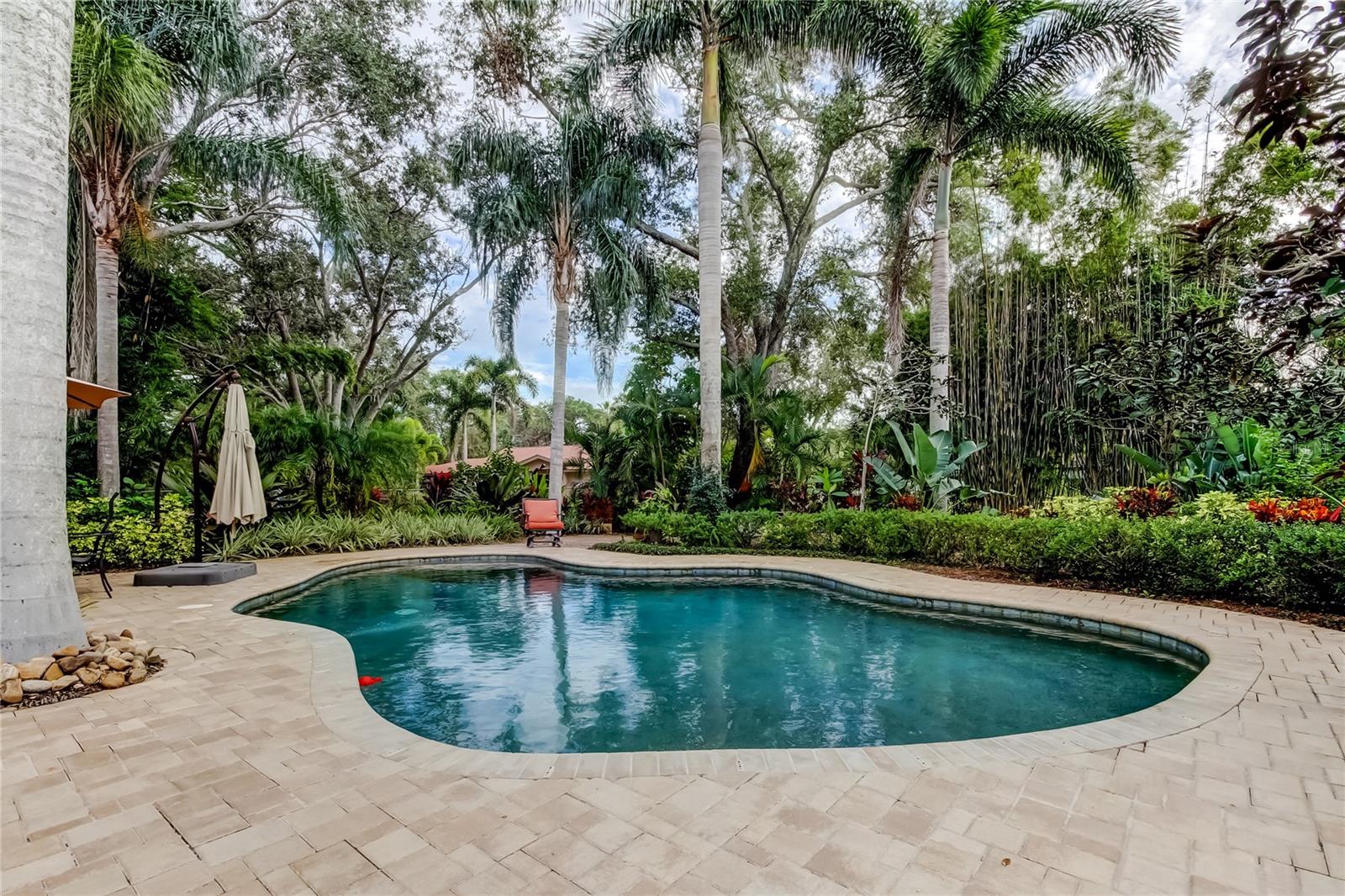 PINELLAS GROVES - Residential