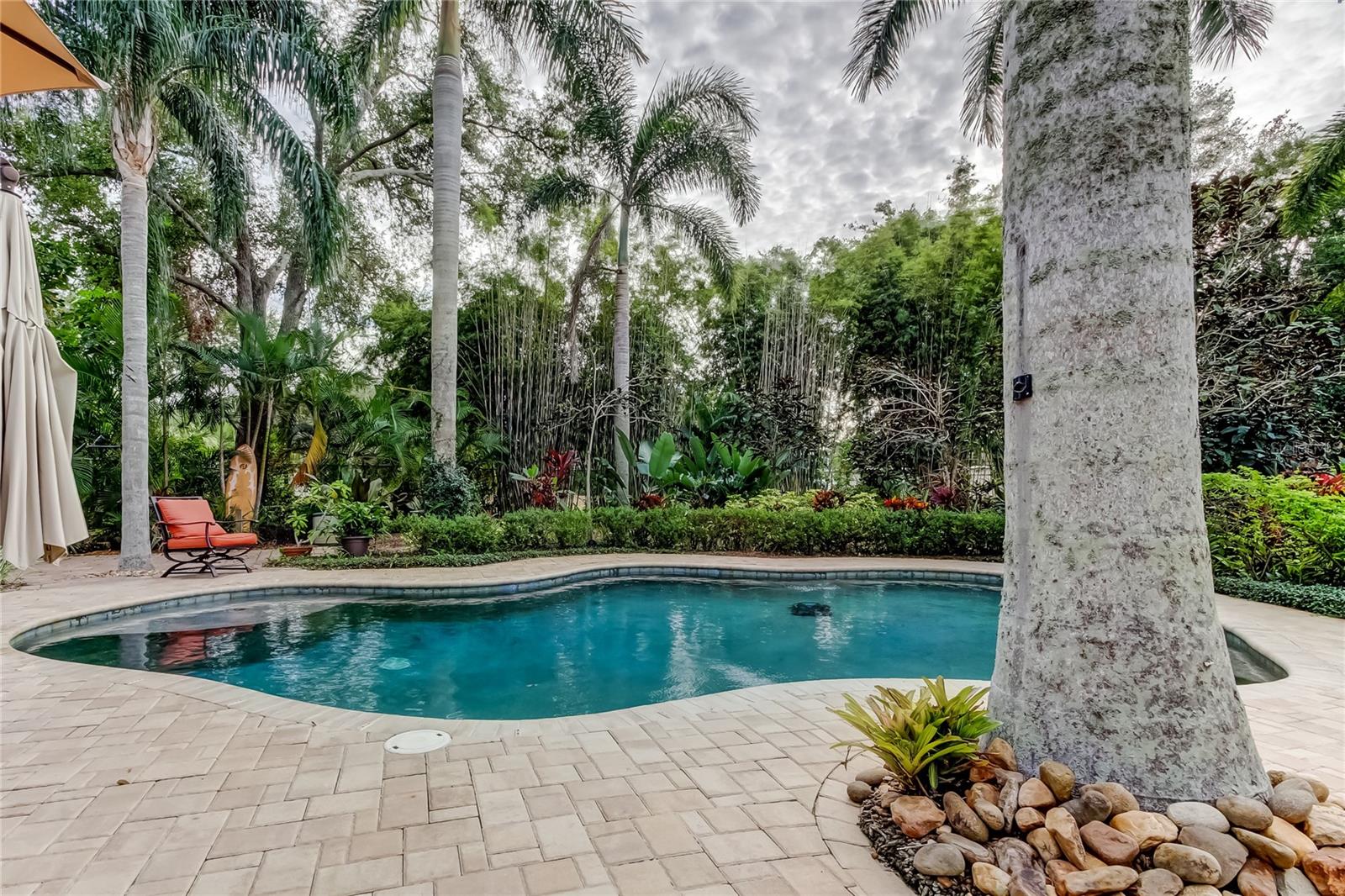 PINELLAS GROVES - Residential