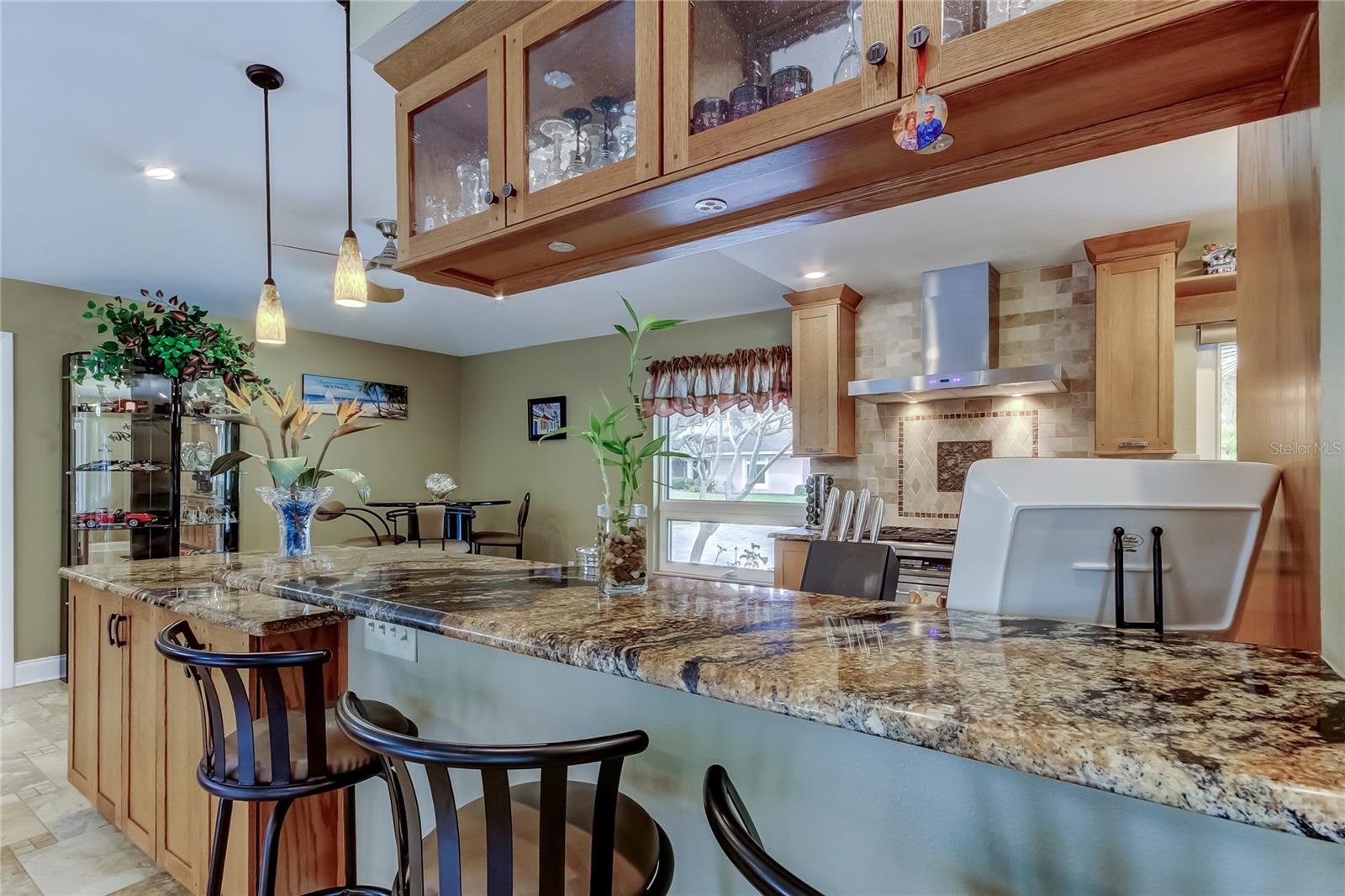 PINELLAS GROVES - Residential