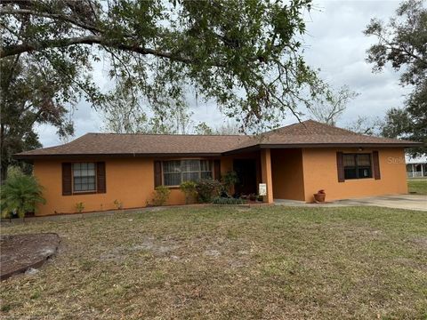 1668 DENA CIRCLE WAUCHULA FL 33873