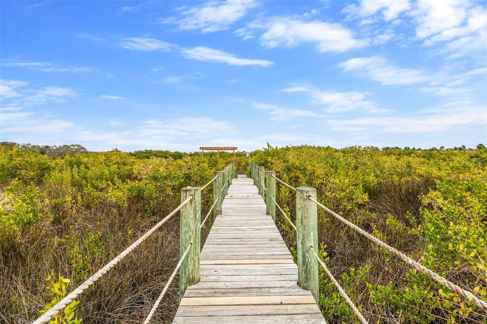 TYMBER TRACE PH 02 - Residential