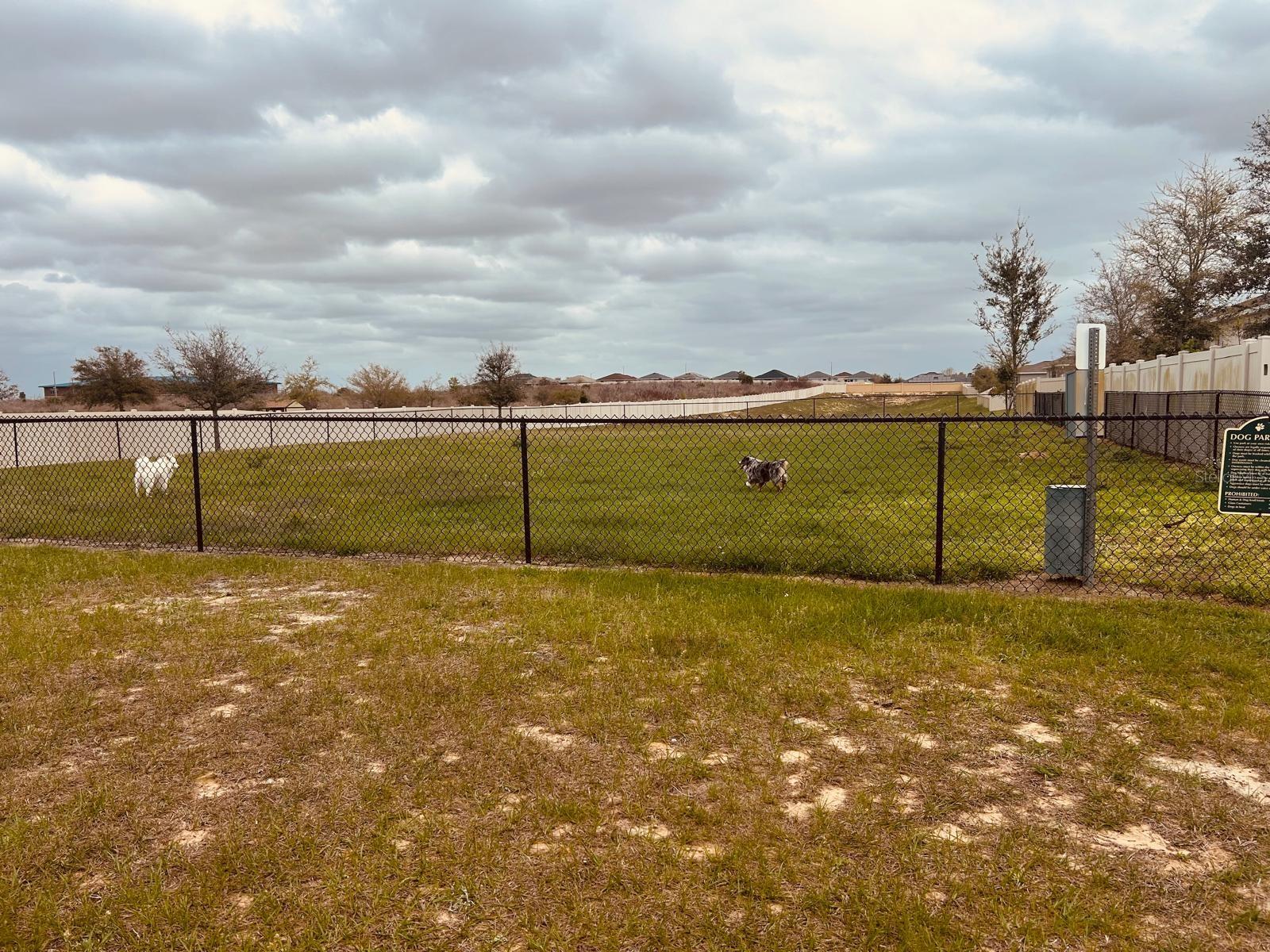 ORCHID TERRACE PH 2 - Residential