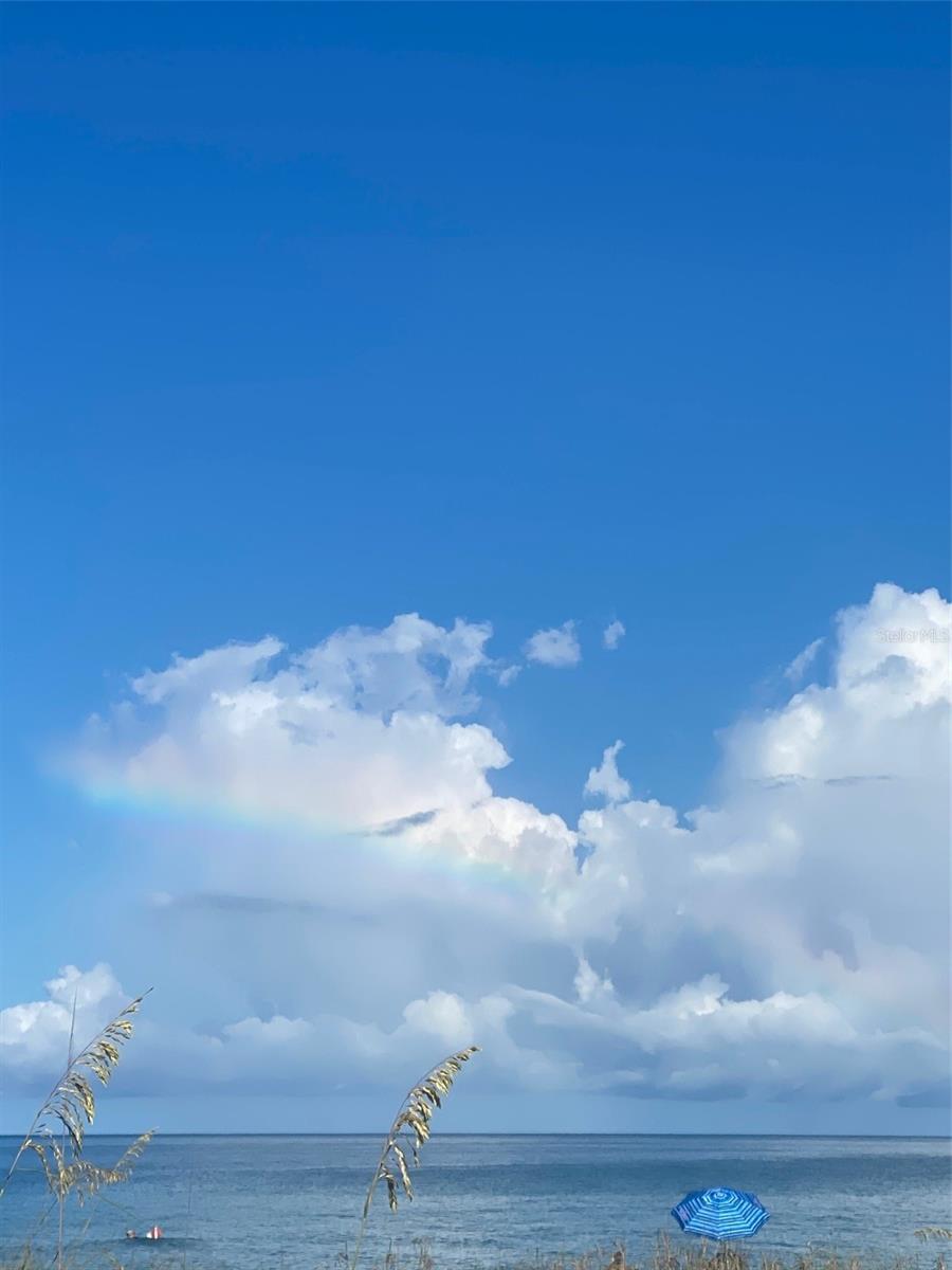 WARM MINERAL SPGS - Land