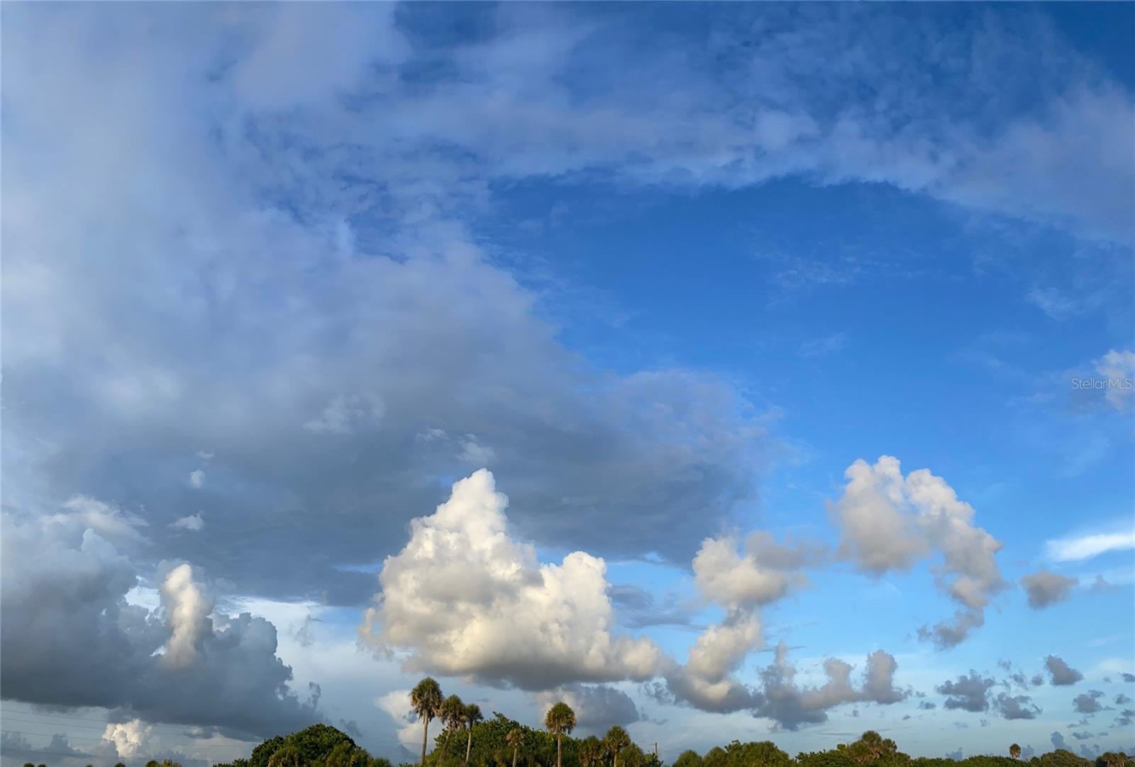 WARM MINERAL SPGS - Land