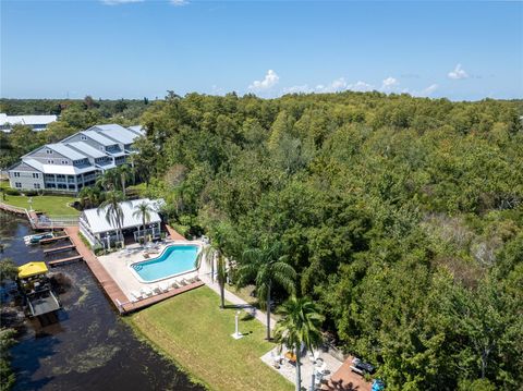 A home in PALM HARBOR