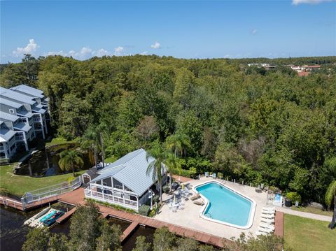 A home in PALM HARBOR