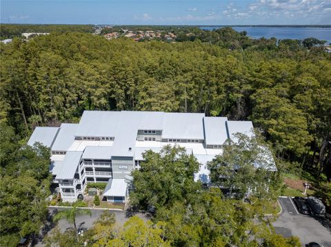 A home in PALM HARBOR