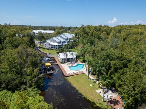 A home in PALM HARBOR