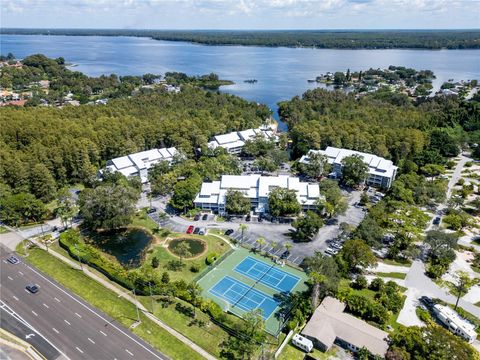 A home in PALM HARBOR