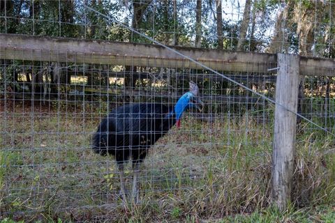 Tiny photo for 19350 NW 123rd Court, Micanopy, FL 32667 (MLS # OM629721)