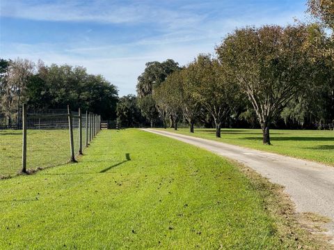 Tiny photo for 19350 NW 123rd Court, Micanopy, FL 32667 (MLS # OM629721)