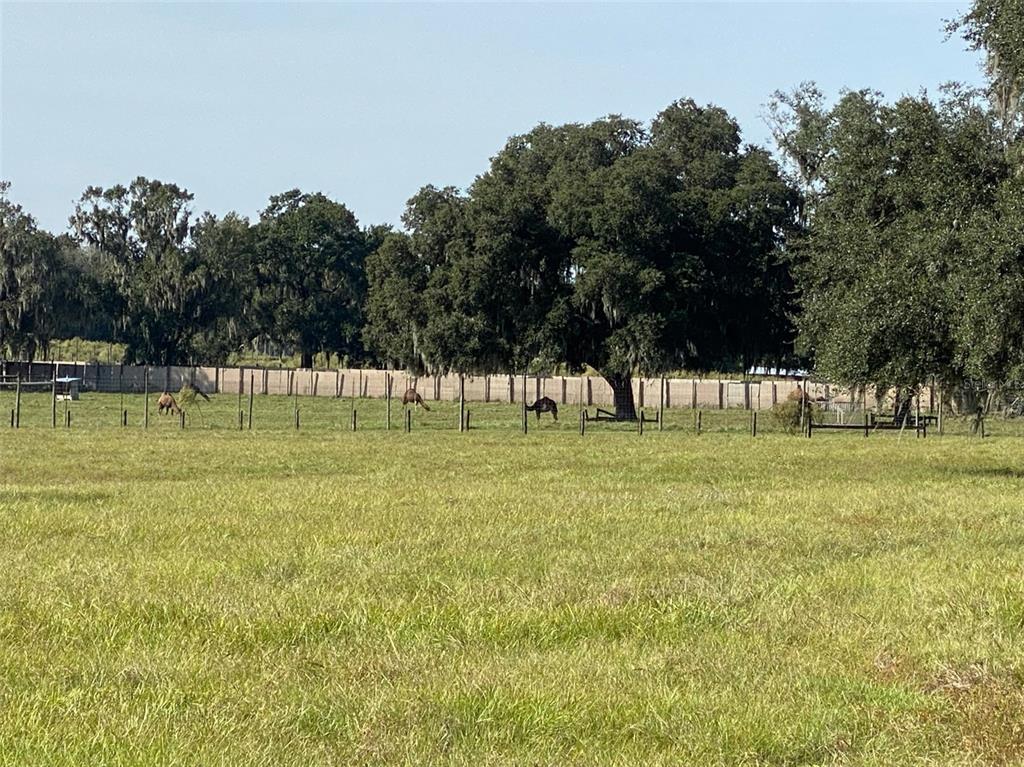 NA - Farm