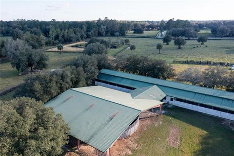 Tiny photo for 19350 NW 123rd Court, Micanopy, FL 32667 (MLS # OM629721)