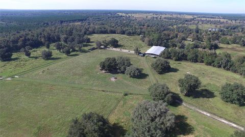 Tiny photo for 19350 NW 123rd Court, Micanopy, FL 32667 (MLS # OM629721)