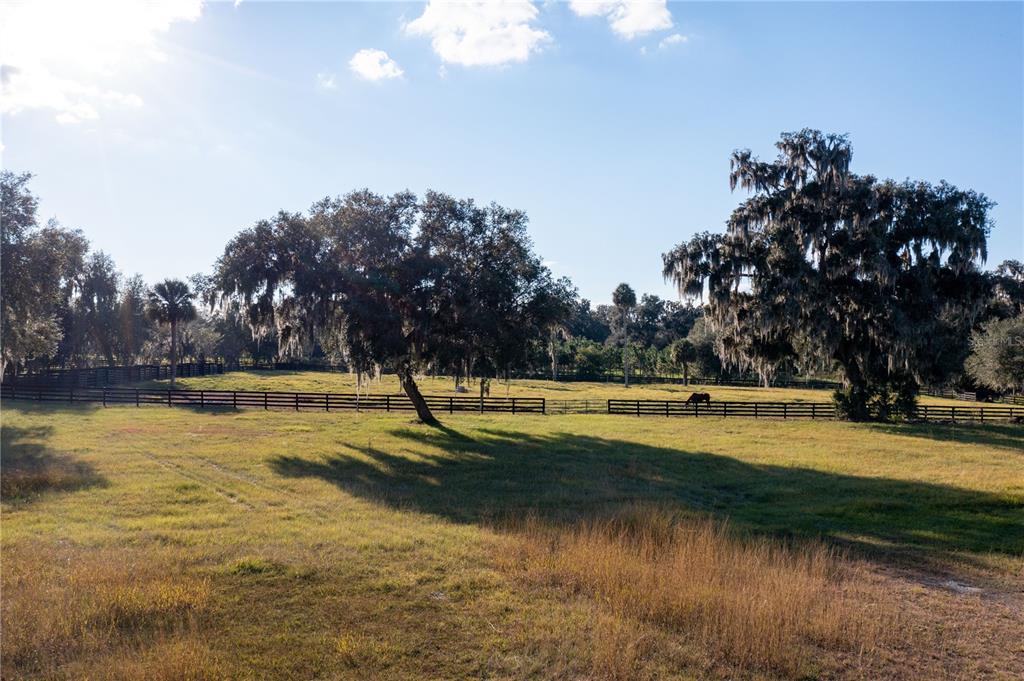 NA - Farm