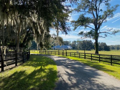 Tiny photo for 19350 NW 123rd Court, Micanopy, FL 32667 (MLS # OM629721)