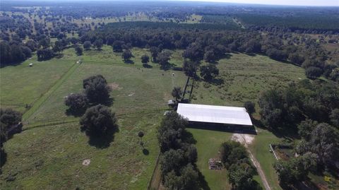 Tiny photo for 19350 NW 123rd Court, Micanopy, FL 32667 (MLS # OM629721)