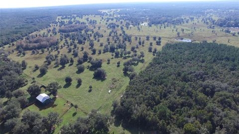 Tiny photo for 19350 NW 123rd Court, Micanopy, FL 32667 (MLS # OM629721)