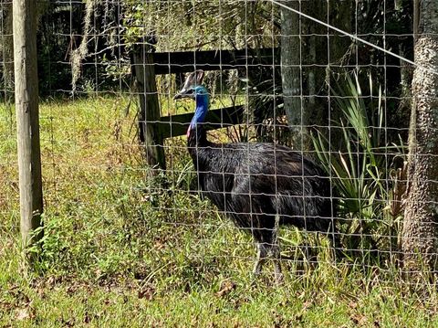 Tiny photo for 19350 NW 123rd Court, Micanopy, FL 32667 (MLS # OM629721)