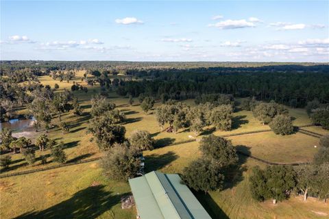 Tiny photo for 19350 NW 123rd Court, Micanopy, FL 32667 (MLS # OM629721)