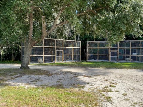 Tiny photo for 19350 NW 123rd Court, Micanopy, FL 32667 (MLS # OM629721)