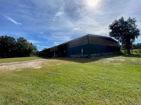 Tiny photo for 19350 NW 123rd Court, Micanopy, FL 32667 (MLS # OM629721)