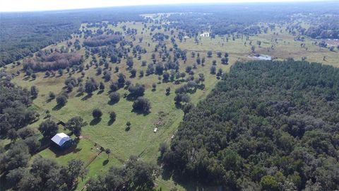 Tiny photo for 19350 NW 123rd Court, Micanopy, FL 32667 (MLS # OM629721)