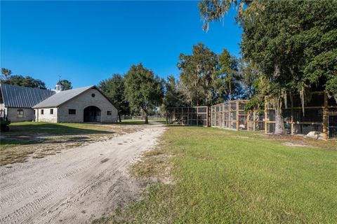 Tiny photo for 19350 NW 123rd Court, Micanopy, FL 32667 (MLS # OM629721)
