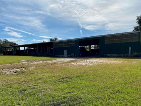 Tiny photo for 19350 NW 123rd Court, Micanopy, FL 32667 (MLS # OM629721)