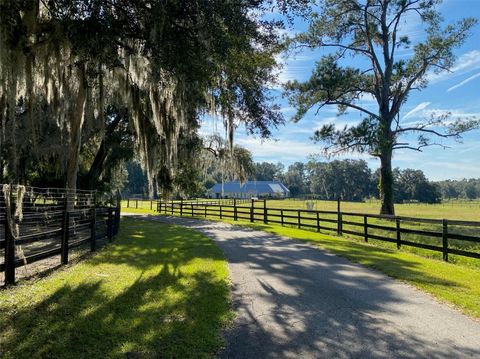 Tiny photo for 19350 NW 123rd Court, Micanopy, FL 32667 (MLS # OM629721)