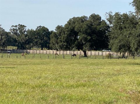 Tiny photo for 19350 NW 123rd Court, Micanopy, FL 32667 (MLS # OM629721)