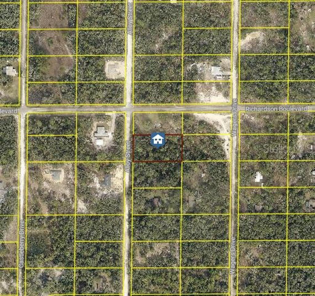 Photo of 15 Alloy Street, Webster, FL 33597 (MLS # W7880626)