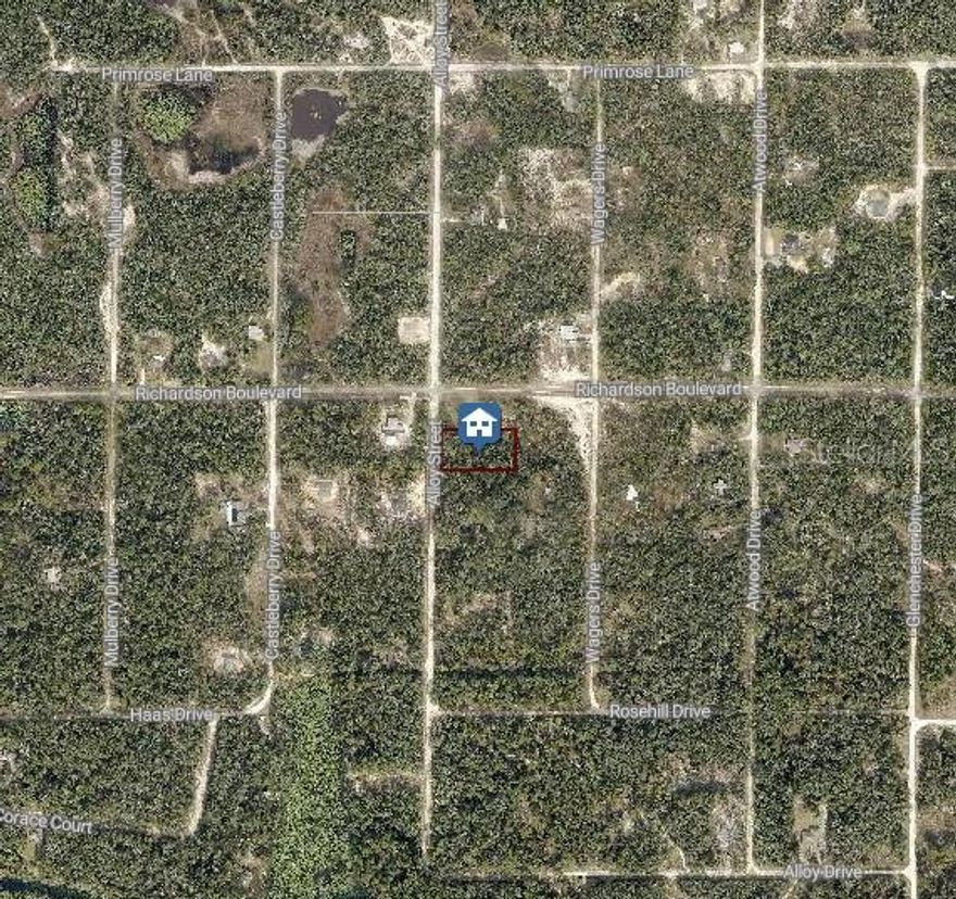 Discover the perfect spot to build your dream home on this peaceful residential lot located on Alloy Street in Webster, FL. Nestled in a quiet area with plenty of natural surroundings, this property offers the tranquility of country living while still being just a short drive to shopping, dining, and major highways. Whether you’re looking to build now or invest for the future, this lot provides great potential and flexibility. Don’t miss your chance to own a piece of beautiful property!