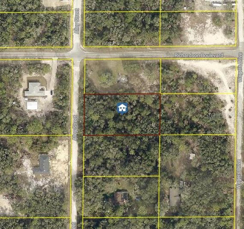 Photo of 15 Alloy Street, Webster, FL 33597 (MLS # W7880626)